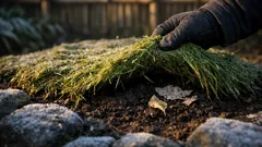 12月の冬マルチで失敗しないコツ｜芝刈り草を厚く敷くと危ない理由と対策